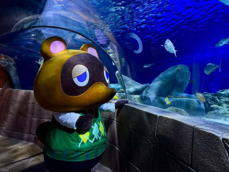 Munich: Day Ticket to Sea Life - Shark time and the glass tunnel with blacktip reef sharks