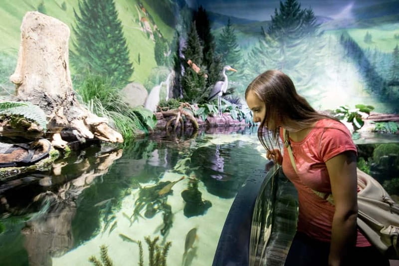 Munich: Day Ticket to Sea Life - Tropical Island and the seahorse bay: snails, insects, and close-up details