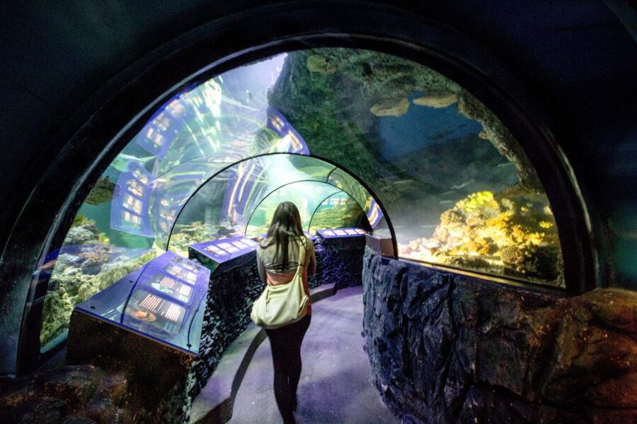 Munich: Day Ticket to Sea Life - Practical details: getting there at Willi-Daume-Platz and planning your essentials