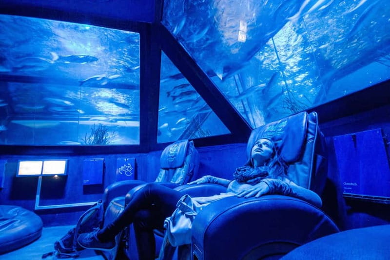Munich: Day Ticket to Sea Life - Who should buy the day ticket for Munich