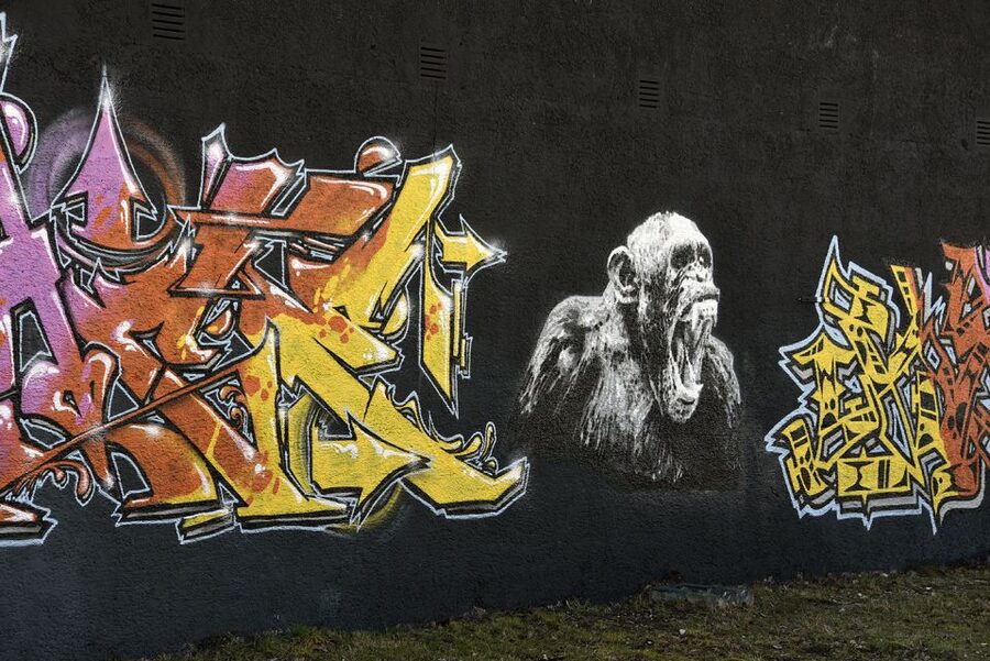 Munich: Street Art Bike Tour - Munich as graffiti mecca: the 1980s context you actually need