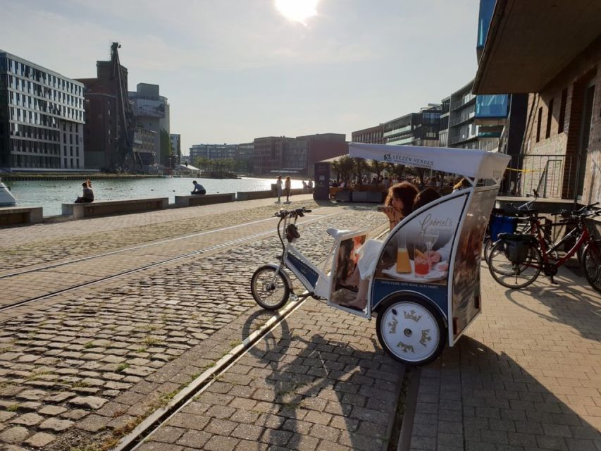 Münster: Private Guided Rickshaw City Tour - The Aasee sculptures stop, a calm pause with great photo angles