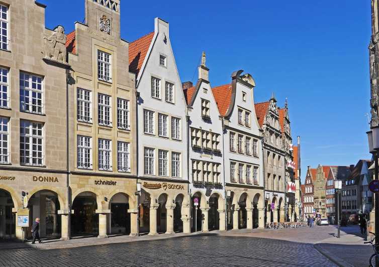 Münster Private Guided Walking Tour - Picasso Museum context, without turning the walk into a museum sprint