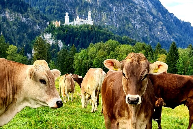 Neuschwanstein Castle, Ettal Abbey and Oberammergau Private Tour from Munich - Ettal Abbey in 30 minutes: Baroque church and living monastery vibes