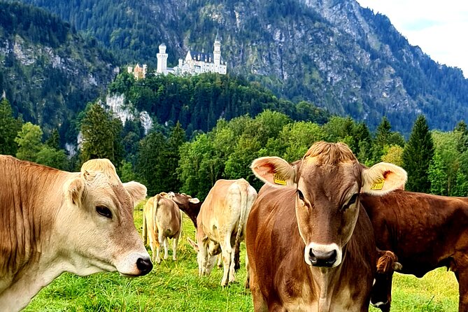 Neuschwanstein Castle Tour with Skip the Line from Hohenschwangau - Timing and pacing: a 3 hour 10 minute plan that still feels like a full morning