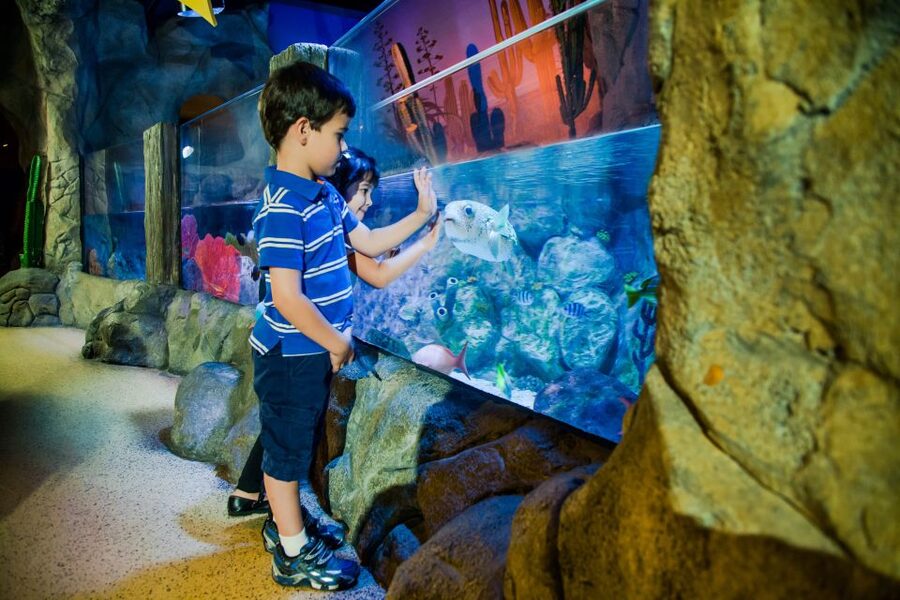 Oberhausen: LEGOLAND Discovery Centre and SEA LIFE Ticket - The factory tour, souvenirs, and the kind of hands-on you can plan around