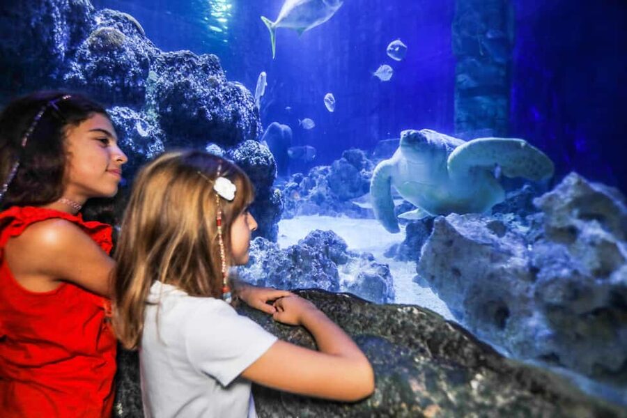 Oberhausen: SEA LIFE Oberhausen Entry Ticket - Why it works for families and animal lovers