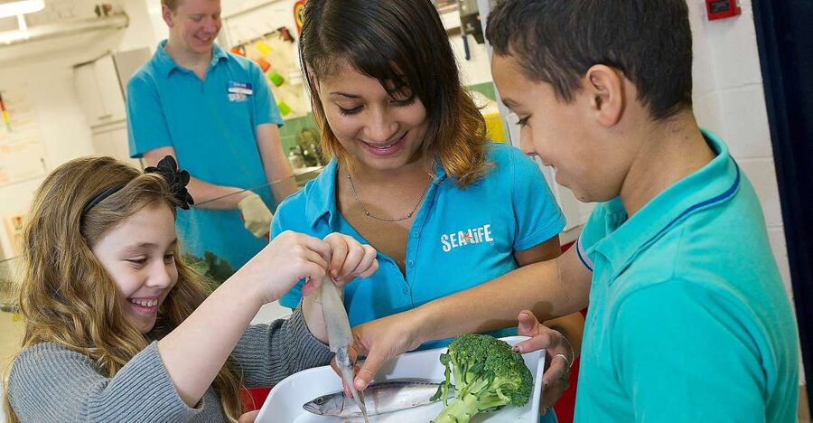 Oberhausen: SEA LIFE Ticket and Behind the Scenes Tour - Key highlights to look forward to