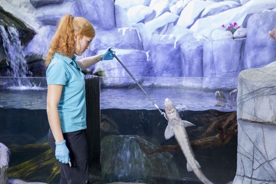 Oberhausen: SEA LIFE Ticket and Behind the Scenes Tour - FAQ
