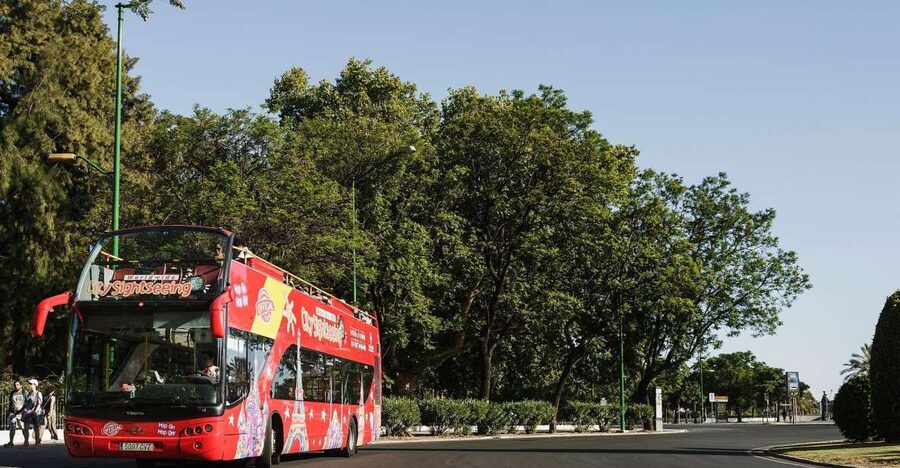 Potsdam: City Sightseeing Hop-On Hop-Off Bus Tour - Sanssouci Palace and the Orangerie: the big payoff stop