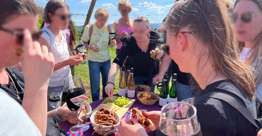Premium wine hike Stuttgart with games and winemaker's snack - Who should book this Stuttgart wine hike