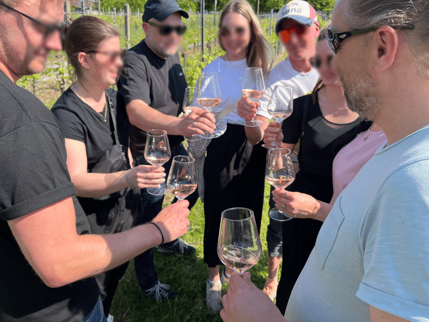Premium wine hike Stuttgart with games and winemaker's snack - Entering the Stuttgart vineyards, without making it a slog