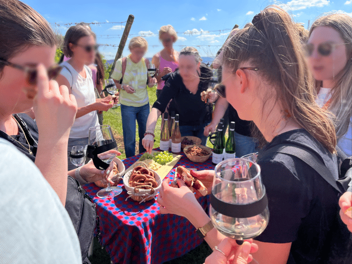 Premium wine hike Stuttgart with games and winemaker's snack - What your guide does during the walk