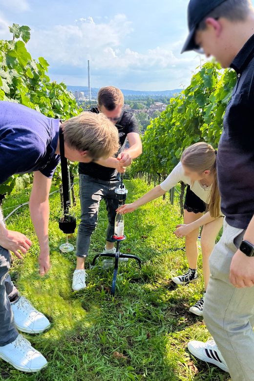 Premium wine hike Stuttgart with games and winemaker's snack - Weather, water, and options when you do not drink