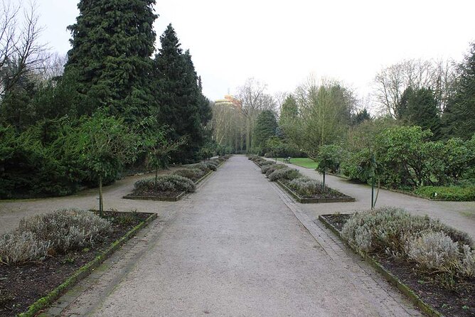 Private audio book city rally around the Rombergpark in Dortmund - Rombergpark turns into a detective playground