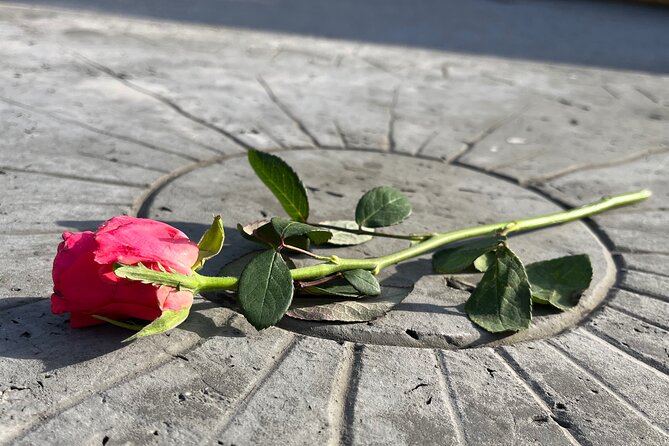 Private Dachau Concentration Camp Memorial Site Tour from Munich - Who This Tour Fits Best