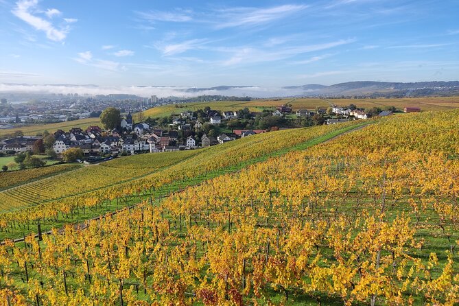 Private day trip to the Romantic Rhine Valley with river cruise and wine tasting - Meet Florian Härtl, then let the day run itself
