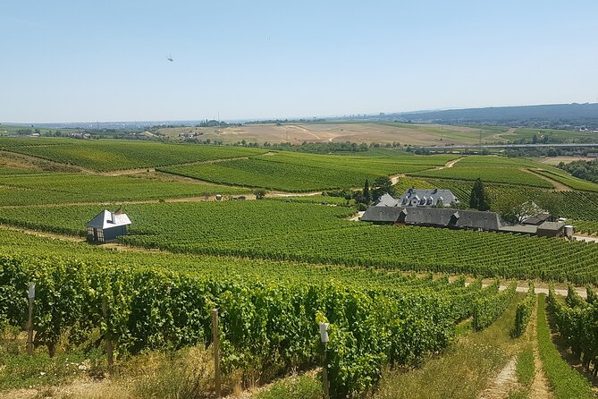 Private day trip to the Romantic Rhine Valley with river cruise and wine tasting - Schloss Johannisberg: Riesling roots and late-harvest ideas