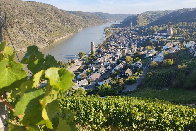 Private day trip to the Romantic Rhine Valley with river cruise and wine tasting - Rüdesheim am Rhein: Throstle Alley, lunch time, and a cruise launchpad