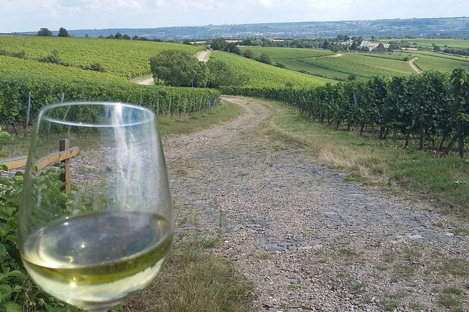 Private day trip to the Romantic Rhine Valley with river cruise and wine tasting - Oberwesel and the wine cellar experience you actually want