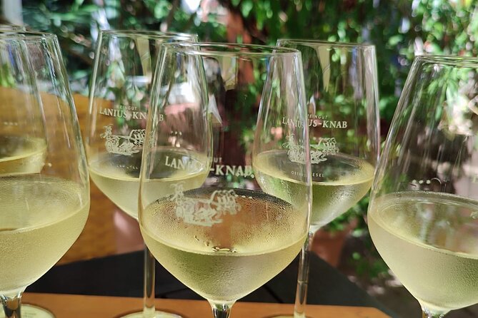 Private day trip to the Romantic Rhine Valley with river cruise and wine tasting - Kloster Eberbach: monastery stop, winery stop, same vibe