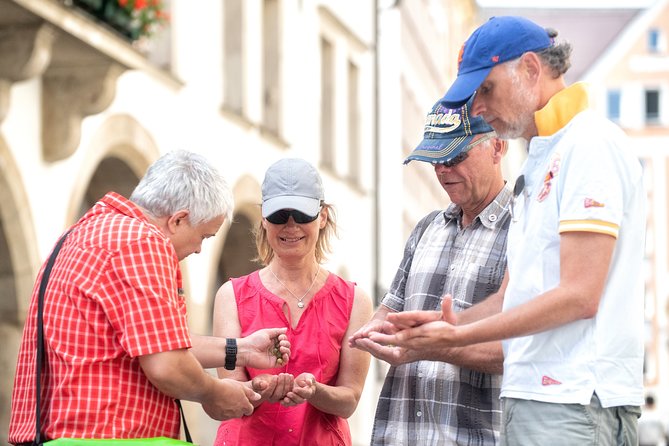 Private Munich Old Town Walking Tour - Marienplatz Finale: Civic Munich and the Glockenspiel Setting