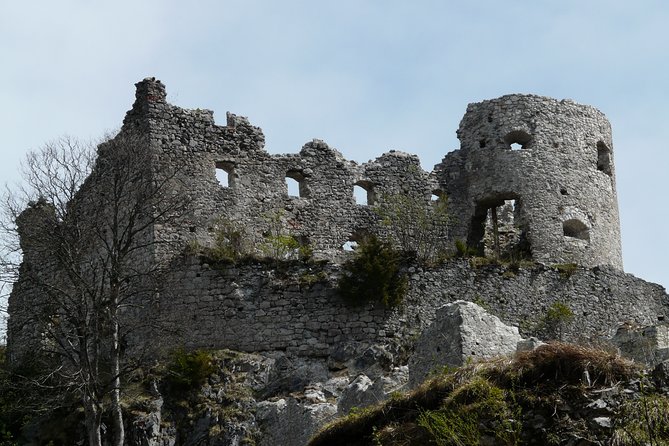 Private Tour of Neuschwanstein Castle & Highline 179 from Munich - What to expect on the ground: timing, walking, and small practicalities