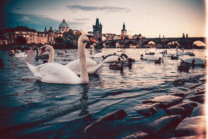 Private Transfer from Berlin to Prague with 2h of Sightseeing - Where things can go wrong, and how to protect yourself