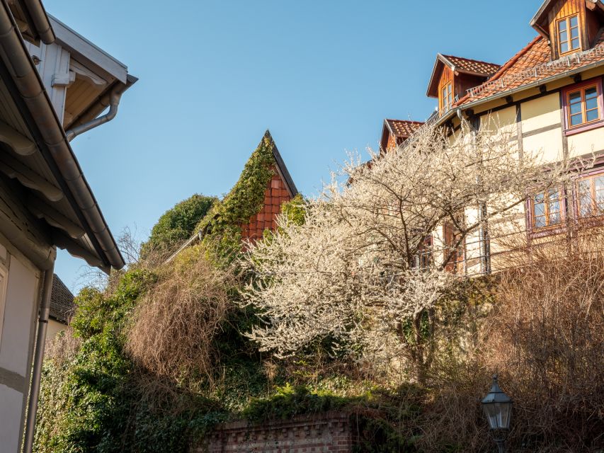 Quedlinburg: Guided City Highlights Walking Tour - Why this Quedlinburg highlights walk is such good value