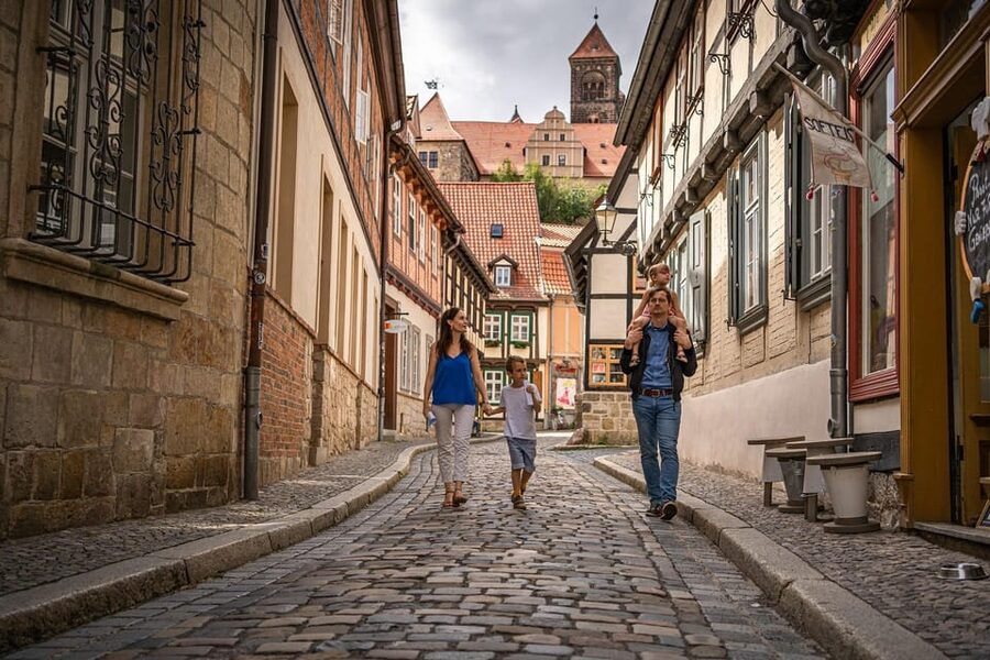 Quedlinburg: Guided City Walk - Highlights tour (private) - What to expect on the ground: cobbles, rain, dogs, and German-only guidance