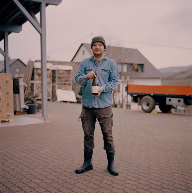 Reil, Mosel: Guided organic wine tasting and cellar tour - Key things you’ll notice on this Mosel organic wine tour