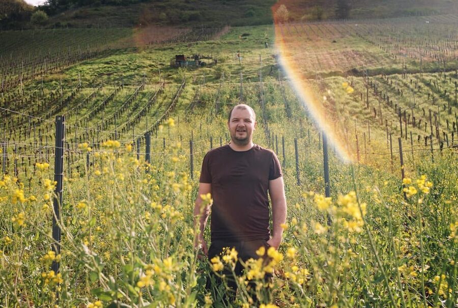 Reil, Mosel: Guided organic wine tasting and cellar tour - Should you book the organic tasting and cellar tour at Weingut Arns?