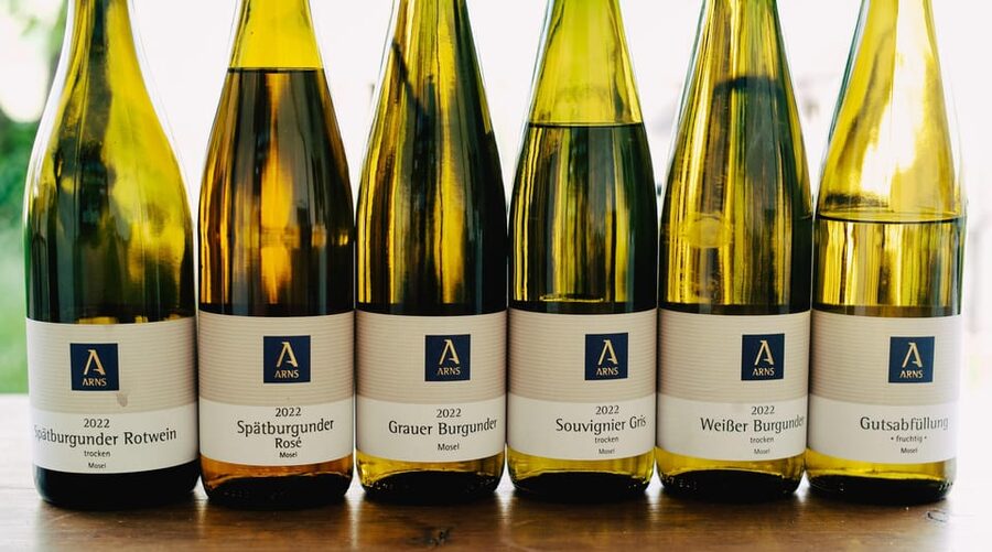 Reil, Mosel: Guided organic wine tasting and cellar tour - Vineyard walk: organic vines, soil, and biodiversity in plain talk