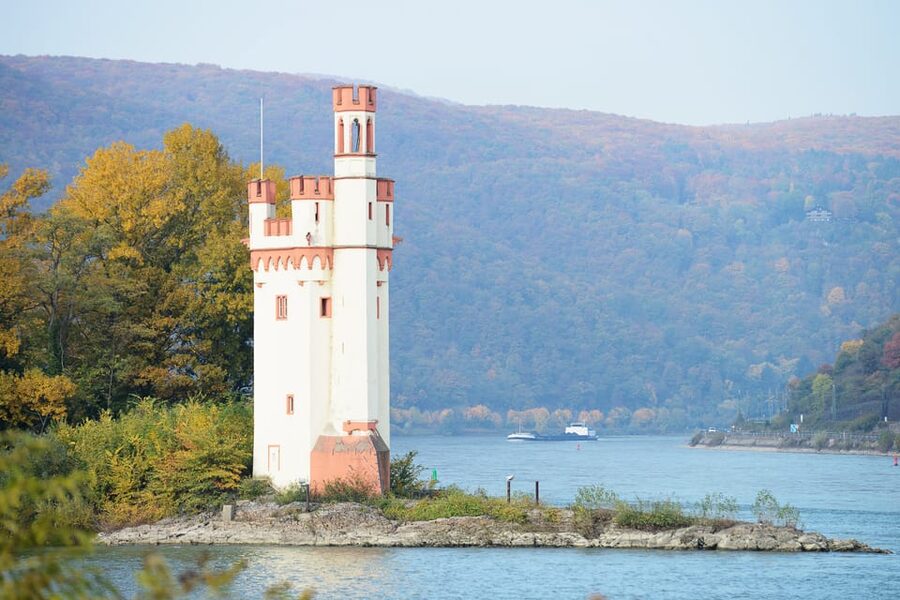 Rhine Valley Castles: 1.5-Hour Boat Tour from Rüdesheim - Who should book this cruise, and who should skip it