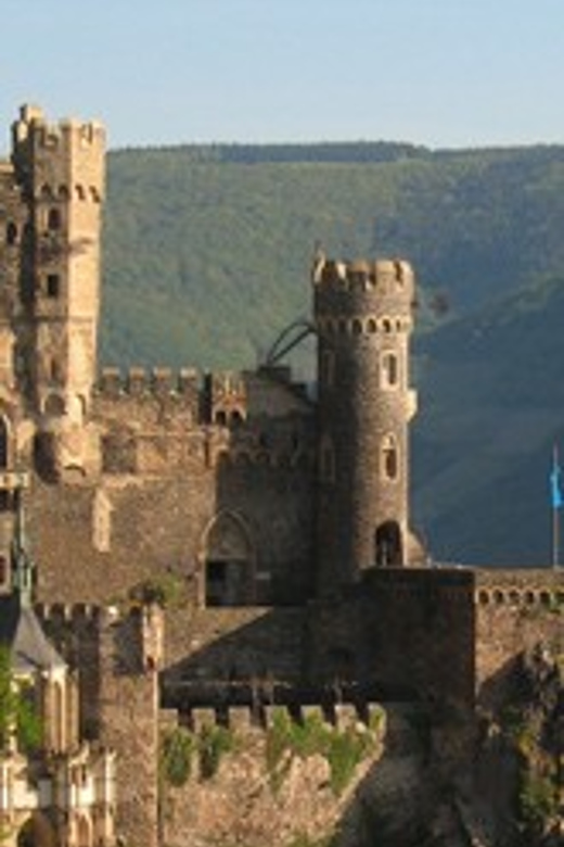 Rhine Valley Castles: 1.5-Hour Boat Tour from Rüdesheim - The Middle Rhine Valley cast of characters: castles and ruins you can spot