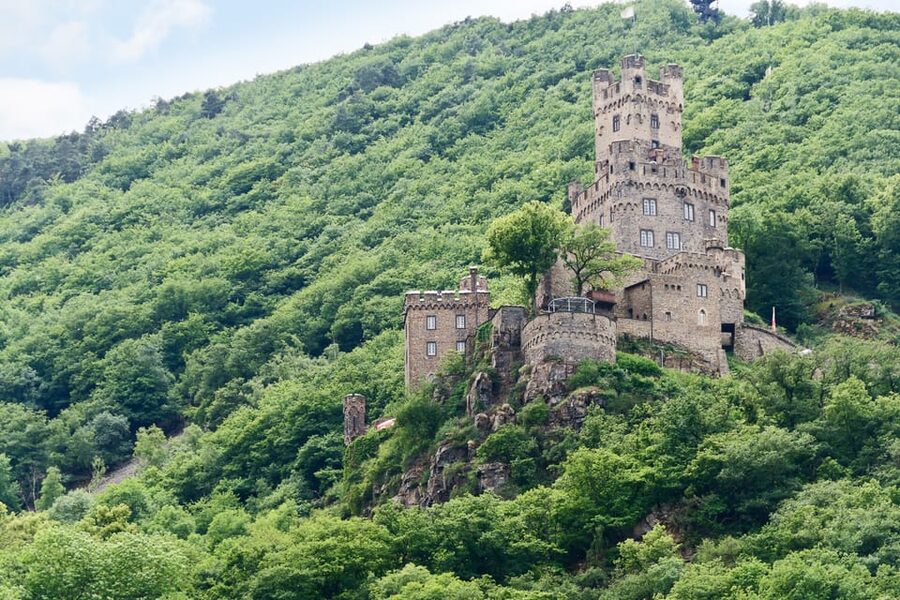 Rhine Valley Castles: 1.5-Hour Boat Tour from Rüdesheim - Assmannhausen and Bingen: vineyards and poetry-ready towns