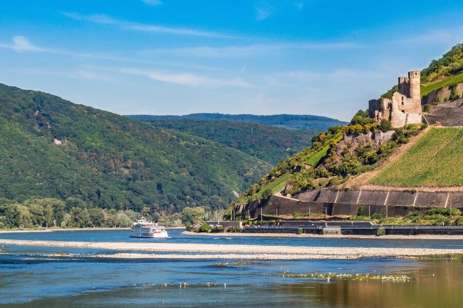 Rhine Valley Castles: 1.5-Hour Boat Tour from Rüdesheim - Food and drinks onboard: nice extras, cash-only is real