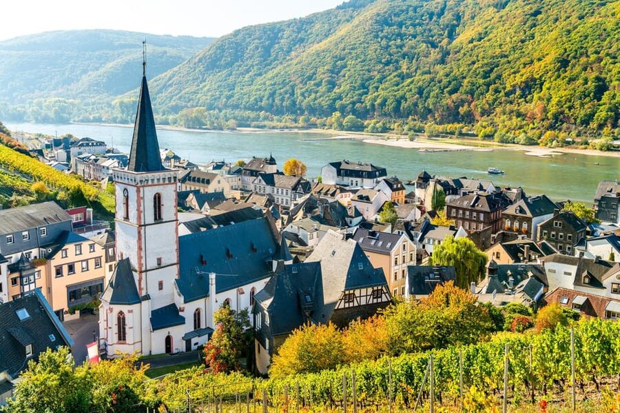 Rhine Valley: Half Day Tour from Frankfurt - The Rhine boat cruise is the money shot for castle and vineyard views