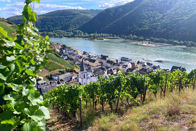 Rhine Valley Wine Tasting Tour from Frankfurt and Mainz - Key moments that make this Rhine Valley wine day work