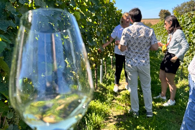 Rhine Valley Wine Tasting Tour from Frankfurt and Mainz - Comfort, group size, and why a small van helps in a long day
