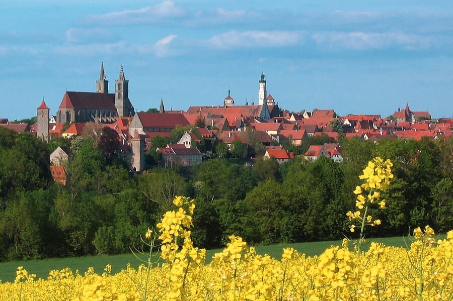 Romantic Road & Rothenburg ob der Tauber Tour from Würzburg - Back in Würzburg: the UNESCO Residence stop option