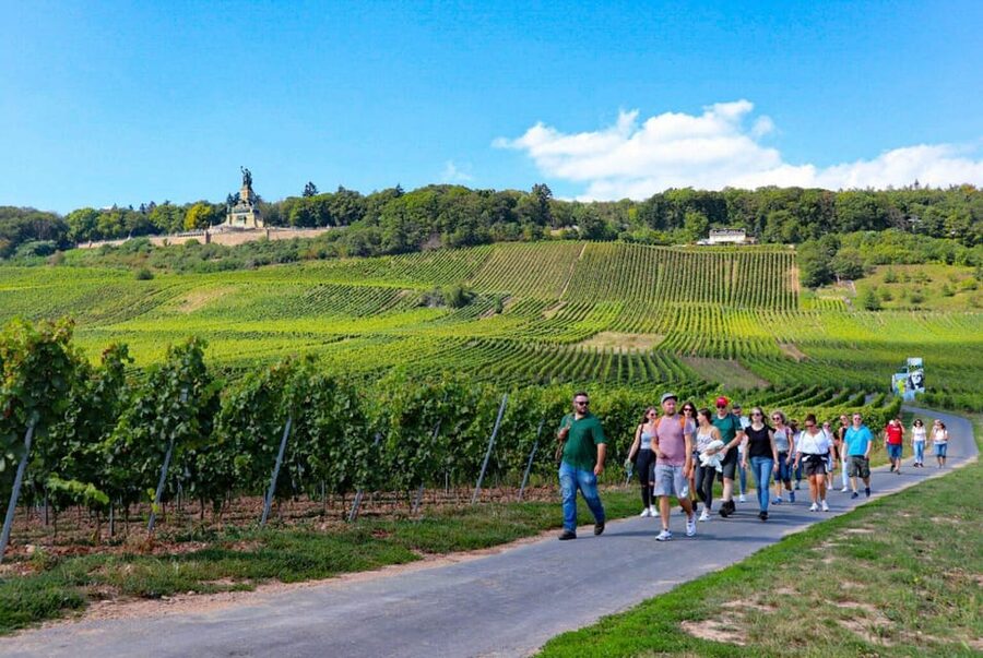 Rüdesheim - Guided wine hikes with 4wines and cable car ride - The vineyard walk: about 3 km, with tasting stops built in