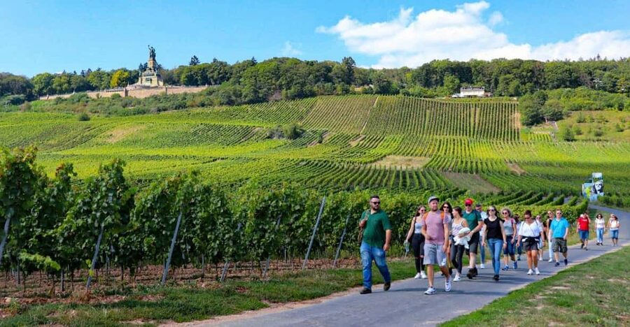 Rüdesheim - Guided wine hikes with 4wines and cable car ride - Meeting point and timing, so you do not miss the start