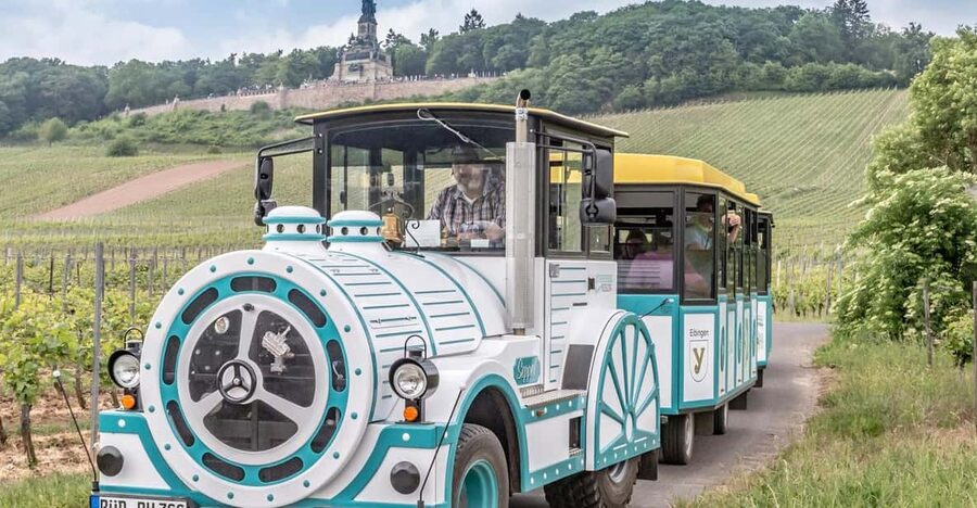 Rüdesheim sightseeing tour with the Winzerexpress - Malerische Weinberge, without committing to a full hike
