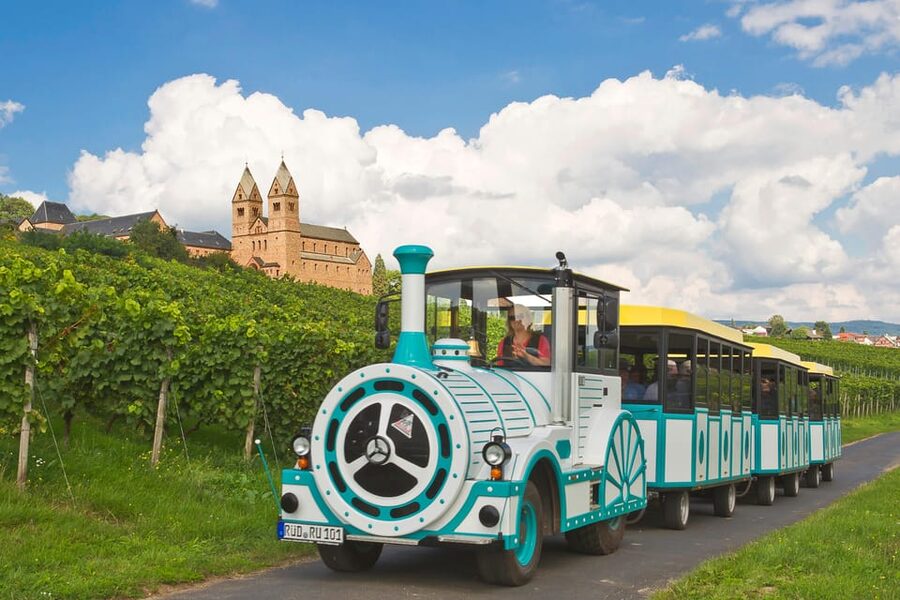 Rüdesheim sightseeing tour with the Winzerexpress - Price and time: is $22 worth it for 30 minutes?