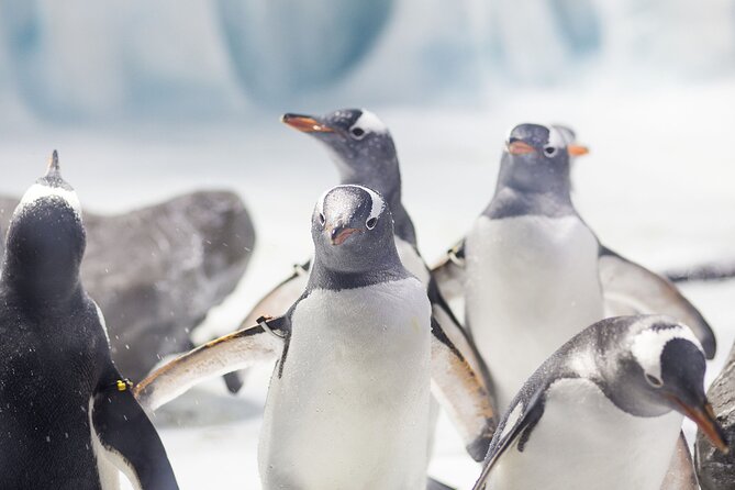 SEA LIFE Konstanz Admission Ticket - Key Points Worth Knowing Before You Go