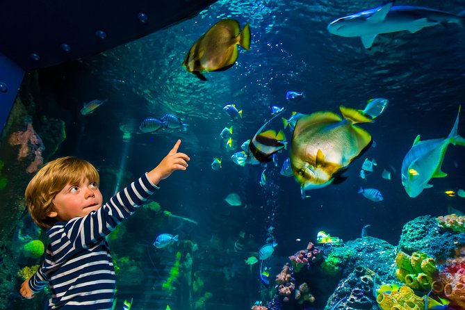 SEA LIFE Konstanz Admission Ticket - Getting Oriented at Hafenstraße 9 and Planning Your 1 to 2 Hours