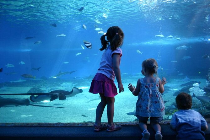 SEA LIFE Munich Admission Ticket - Key highlights you should know before you go