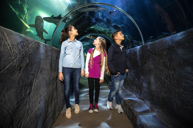 SEA LIFE Munich Admission Ticket - Family-friendly timing: pirate trail and kid energy management