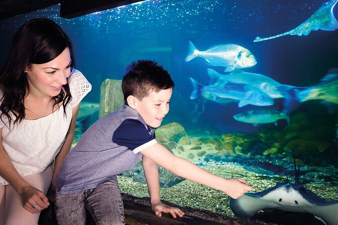 SEA LIFE Munich Admission Ticket - Price and value in Munich: what $28.91 buys you